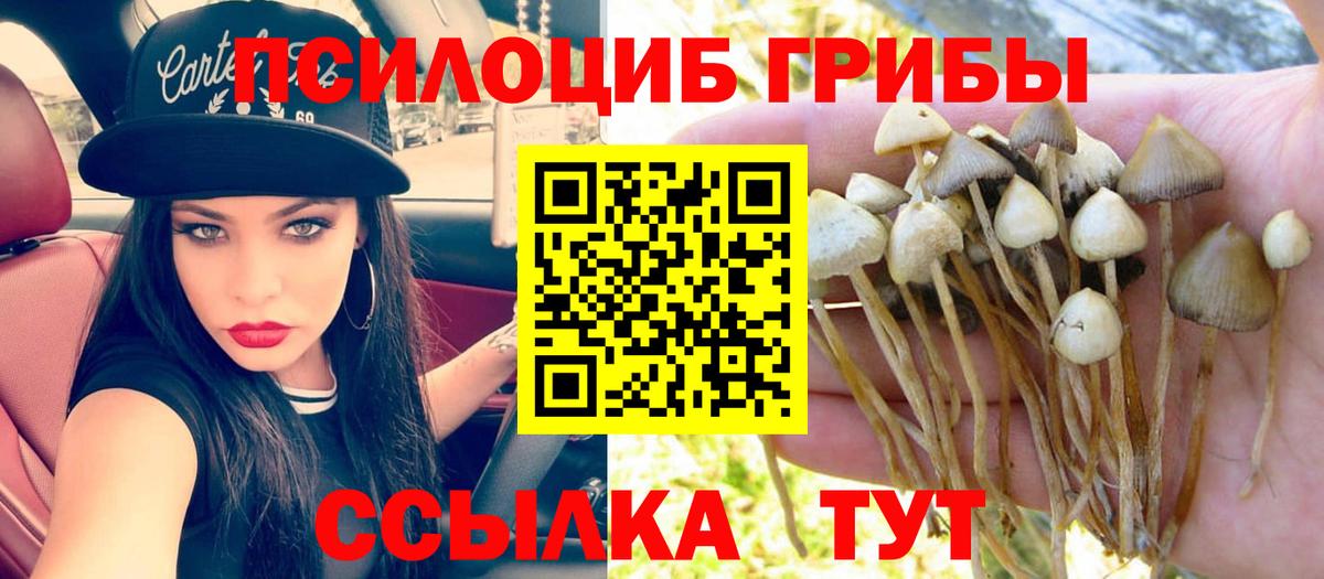 Галлюциногенные грибы Cubensis  Вход с VPN  цена наркотик  Красноуфимск 