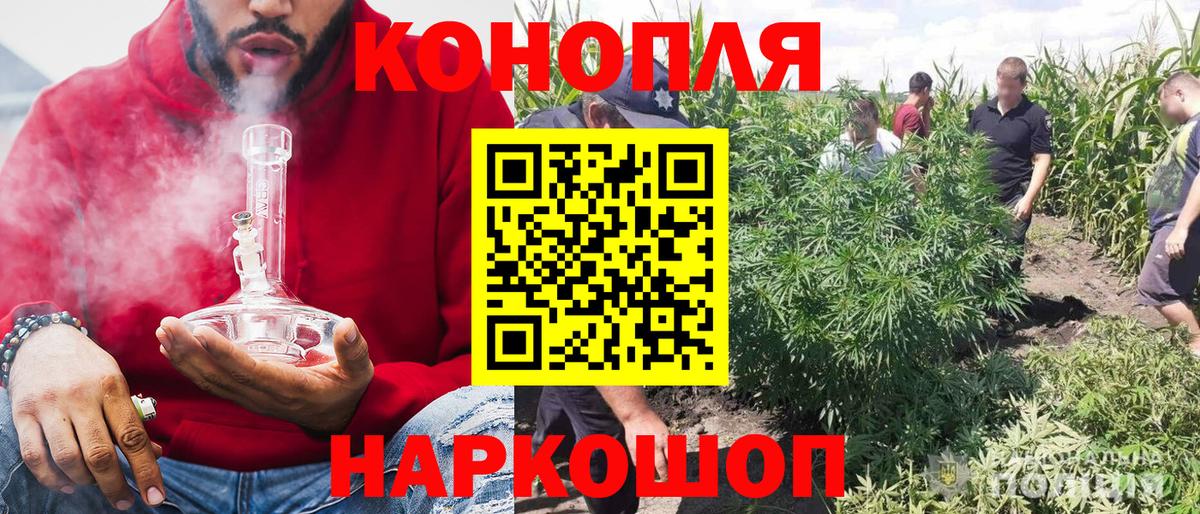 Бошки Шишки семена Красноуфимск